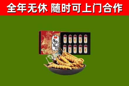 龙游烟酒回收冬虫夏草礼盒.jpg